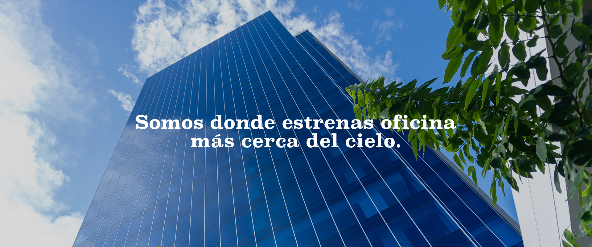 Coorporativo